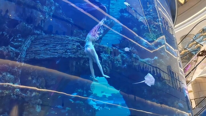 การแสดงนางเงือกในห้างสรรพสินค้าที่ฉงชิ่งนั้นสวยงามมาก