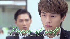 11-PRINCE OF WOLF / Tagalog dubbed