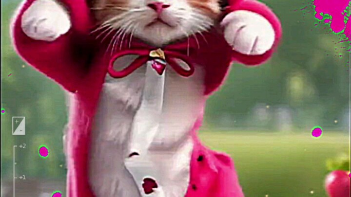 hindi new movie hindi dubbed movie online and the song is mm and the night of the day so we can go