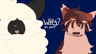 Why? || Warrior cats oc pmv