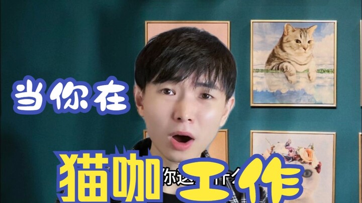 当你在猫咖工作