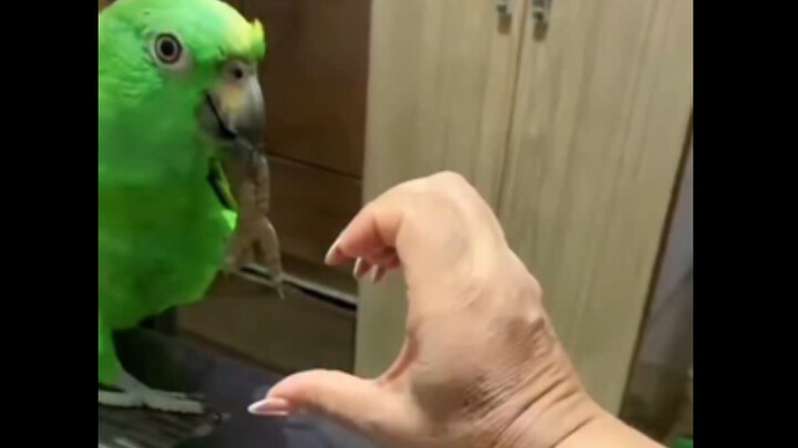 Mau buat hati pakai tangan? Aku paling jago!