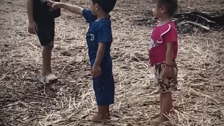 mùa hè của bạn có gì?