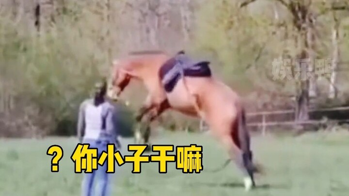 Someone’s got to go a little crazy, whether it’s the person or the horse.