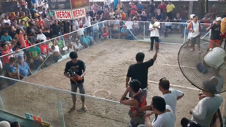 1st Win #ManokNaPuLa