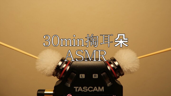 [30-min Ear-Picking ASMR] No Voice | Soul-Stirring | Leave Your Sleep to Me