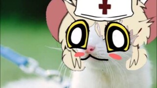 chess type beat - lorna terrible mouse edit 2