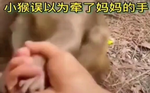 I laughed my ass off [covering my face][covering my face] I took a look and confirmed that it was my