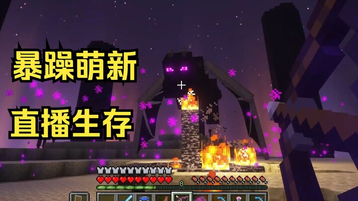 First time fighting the Ender Dragon!