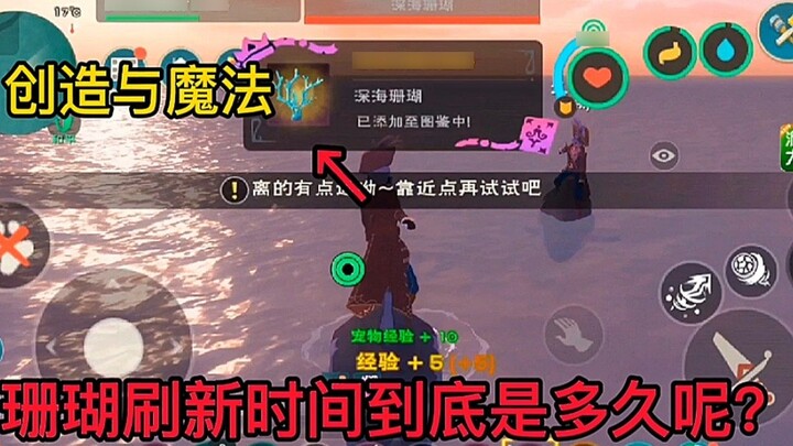 ปะการังจะรีเฟรชนานแค่ไหน?