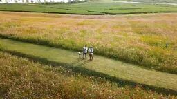 nice view smooth music