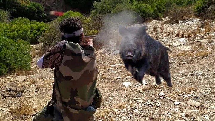 One shot, one wild boar—ultimate stress relief!