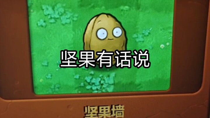 Mencintai sebuah tanaman tidak perlu alasan