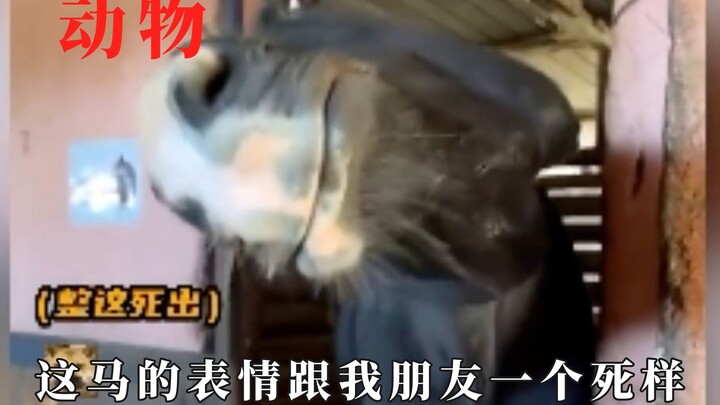 ไม่ยุ่งกับเรื่องของคนอื่นเลย อย่าพูดเล่นกับเพื่อนร่วมงาน