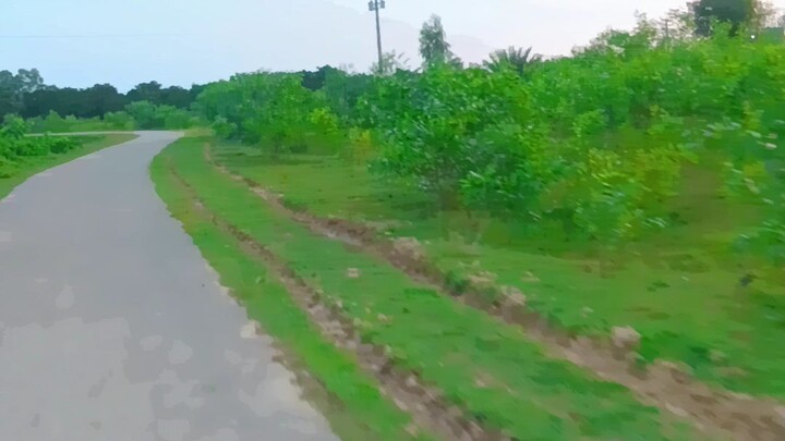 তুমি কি জানো
