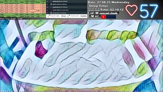 Sleep Stream 27.08.2025