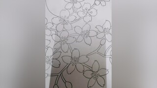 hoa anh đào trong trăng stayhomechallenge drawingart drawingblossom vehoa vetranh vehoaanhdao drawingflowers