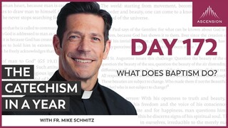 Day 172: What Does Baptism Do? — The Catechism in a Year (with Fr. Mike Schmitz)