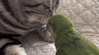 It's totally your fault if you get beaten up, haha