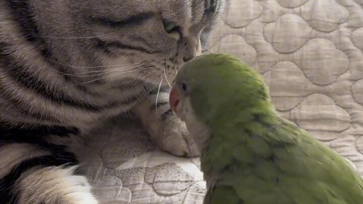 Bạn bị đánh cũng không trách người khác được, haha