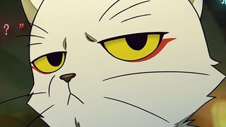 [Kuil Dali Musim 2] Chen Shi tahu cara menggoda kucing