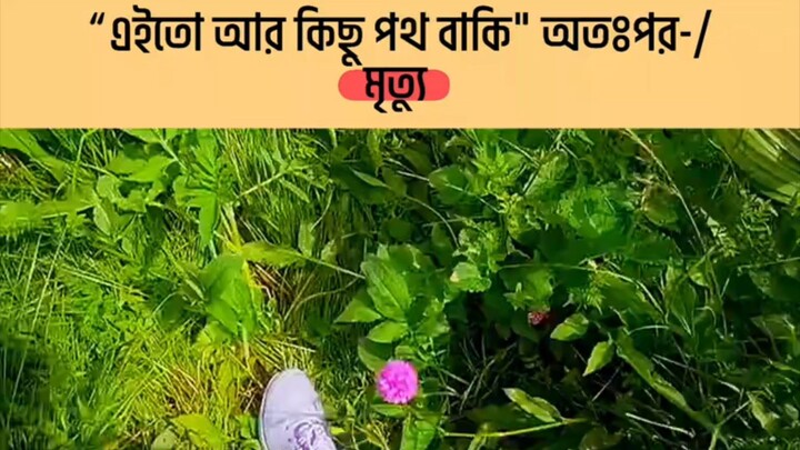 কিছু পথ বাকি তারপর মৃত্যু  💔