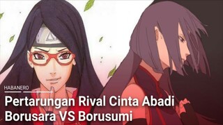 Pilih Borusumi Apa Borusara?