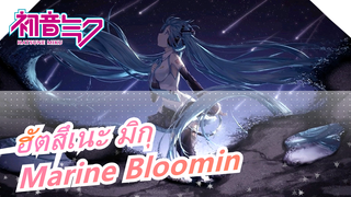 ฮัตสึเนะ มิกุ|[MMD]Marine Bloomin