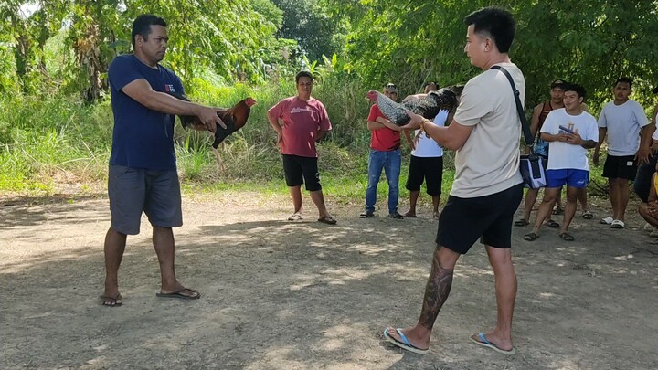 STREET FIGHT SERYE BULIK DAPU WIN!!!