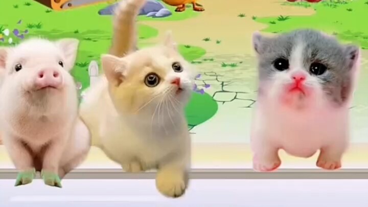 Saya ingin memberi anak kucing sesuatu yang lezat.