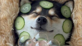 NGÀY SPA của Maggie Cheung!