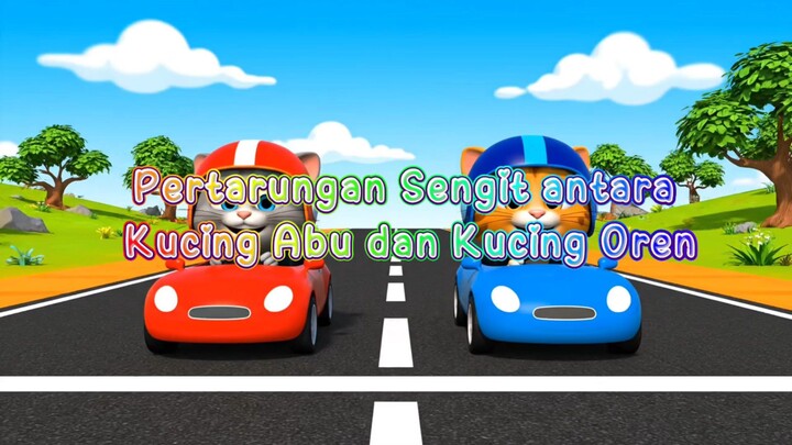 pertarungan sengit antara kucing abu dan kucing oren