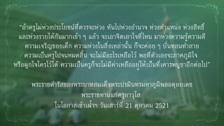 บาปบริสุทธิ์live_2
