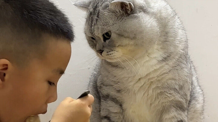 Adik kecil setiap kali makan selalu butuh lebih dari satu jam, sampai Big Zhuang pun sudah tidak tah
