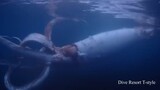 biggest colossal squid but just a baby only i guest because found yt
