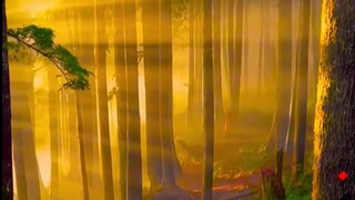 “This is probably the charm of nature”