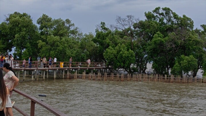 เสียงคลื่นซัดสาด มองเห็นสุดขอบฟ้า