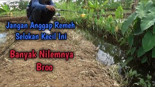 Mancing di Selokan Sawah Ini, Ikan Nilemnya Banyak Broo