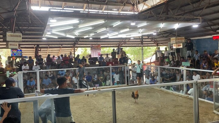 Second fight,pa champion ng 2hits