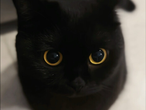 Click on this video and you will be amazed