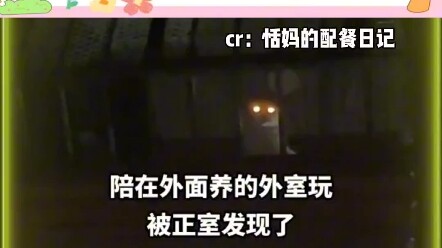 Kucing liar di luar tetap lebih menggoda, kan, si tua?