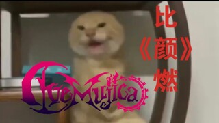 比《颜》MV燃的圆头耄耋热舞(发给你的好友来赤)