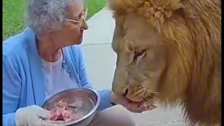 Has AI really advanced to this point? #4