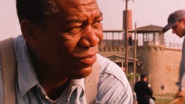 Đây là bộ phim chưa từng giành được giải thưởng nào nhưng lại có điểm đánh giá cao nhất. Quá bá đạo!