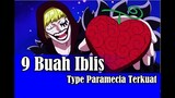 17# - 9 Buah Iblis Paramecia Terkuat (One Piece)