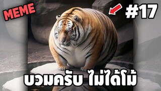 ภาพนี้ก็ฮาเหมือนกันนะเนี้ย #17 SS6 [ พากย์นรก MEME.EXE ] | easy boy