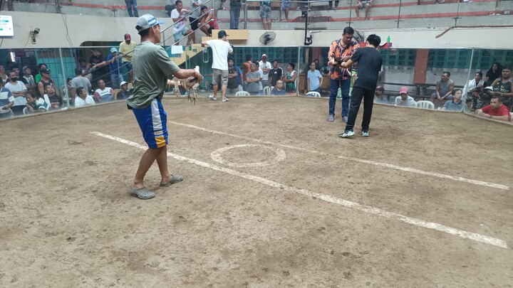 double champ two hits using white kelso