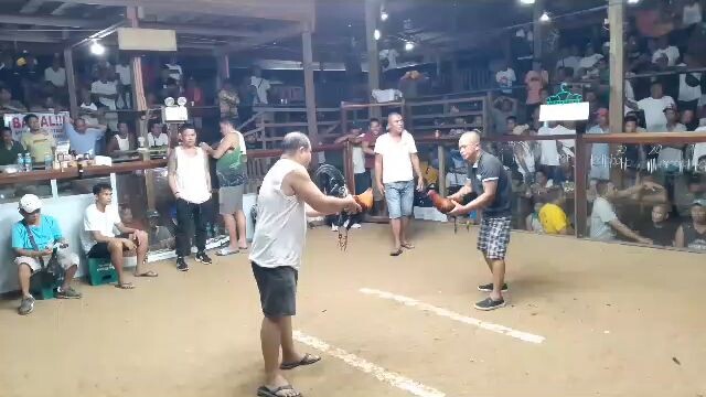 @4cockderby @JJVgamefarm 3rdfyt lose