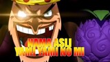 [ TEORI ONE PIECE ] MAKHLUK PALING RAKUS DI LAUTAN... NAMA ASLI YAMI YAMI NO MI...