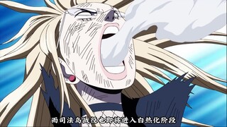 卡莉法居然一脚瑞到了小坤坤，山治差点没疼的昏倒过去